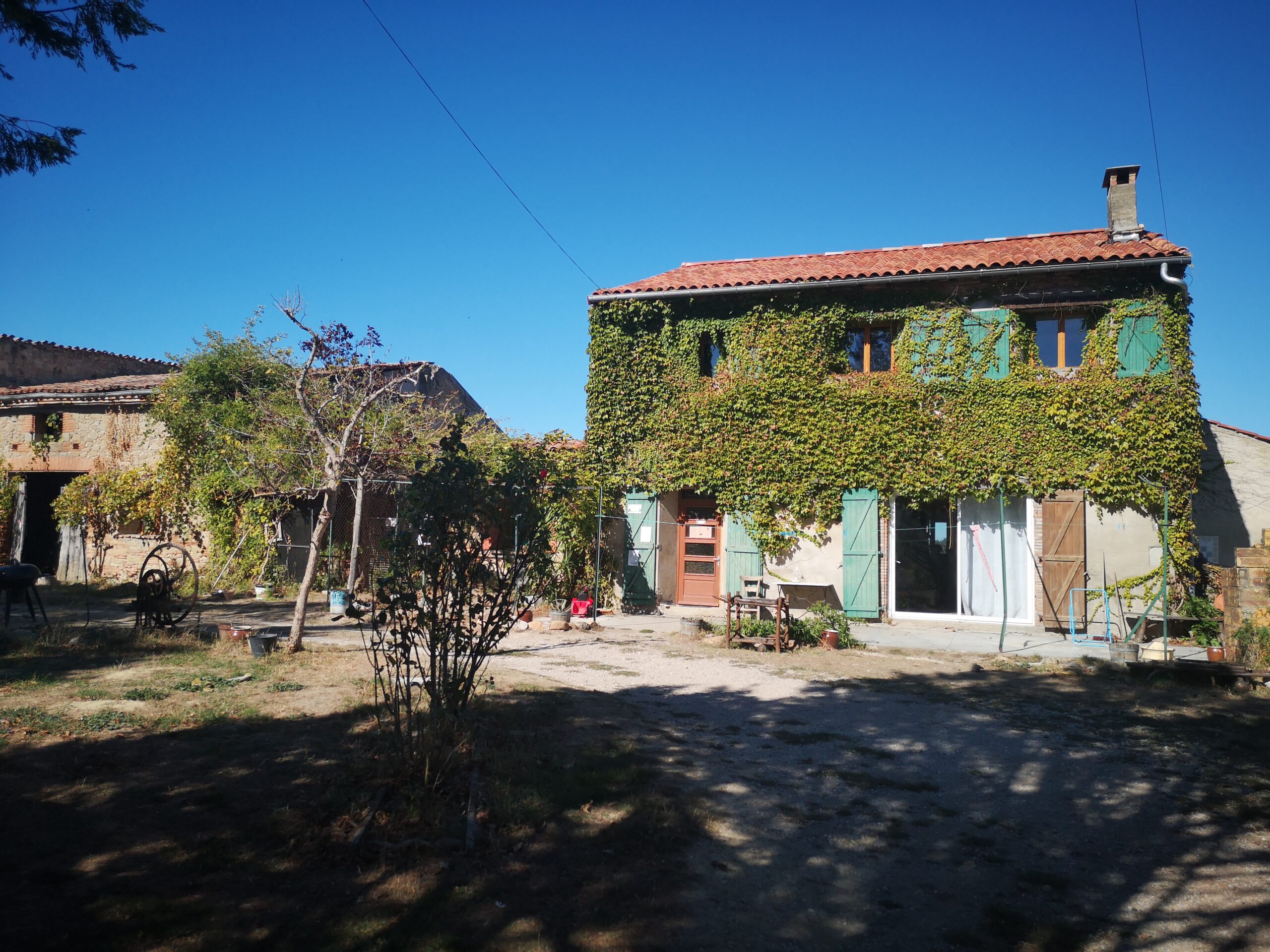 Pension canine & féline