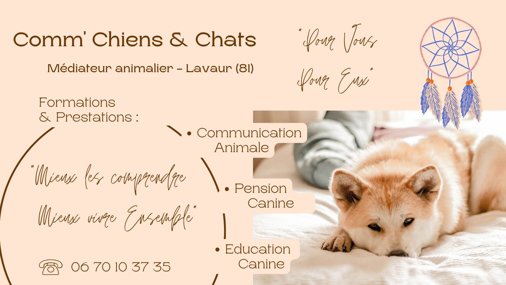 VISUEL-COMM-CHIENS-ET-CHATS-BANDEAU-1