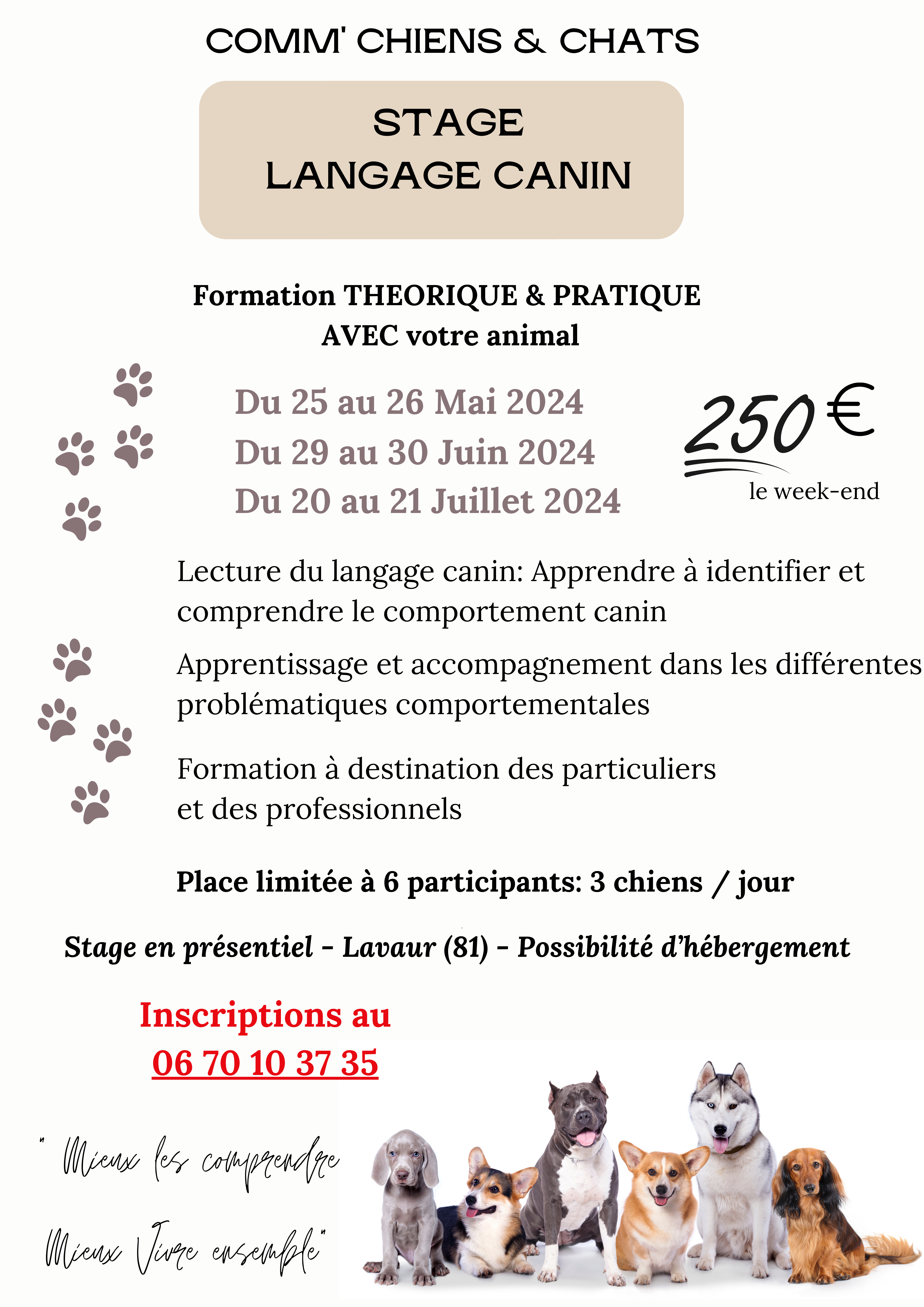 DATES STAGE LANGAGE CANIN