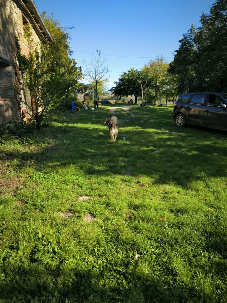 PHOTO PENSION DEVANT