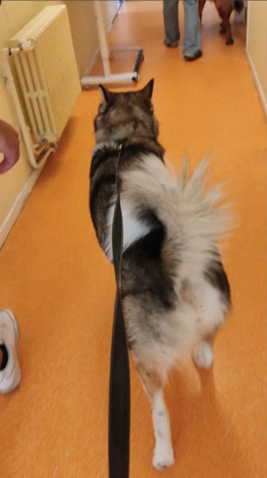 Image de présentation