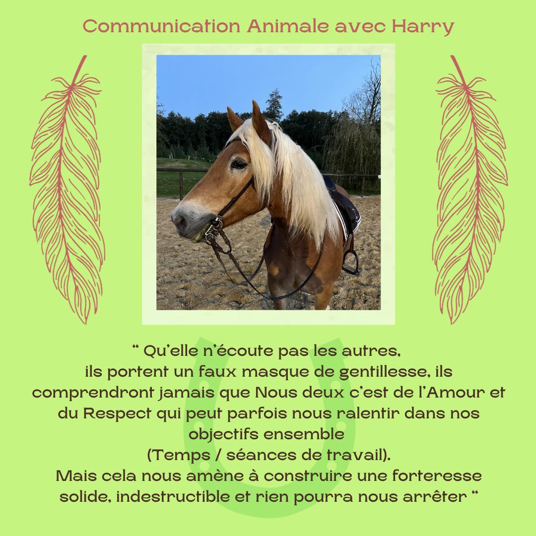 xr:d:DAFdmUyn6Mw:347,j:9068404464143852527,t:23102016