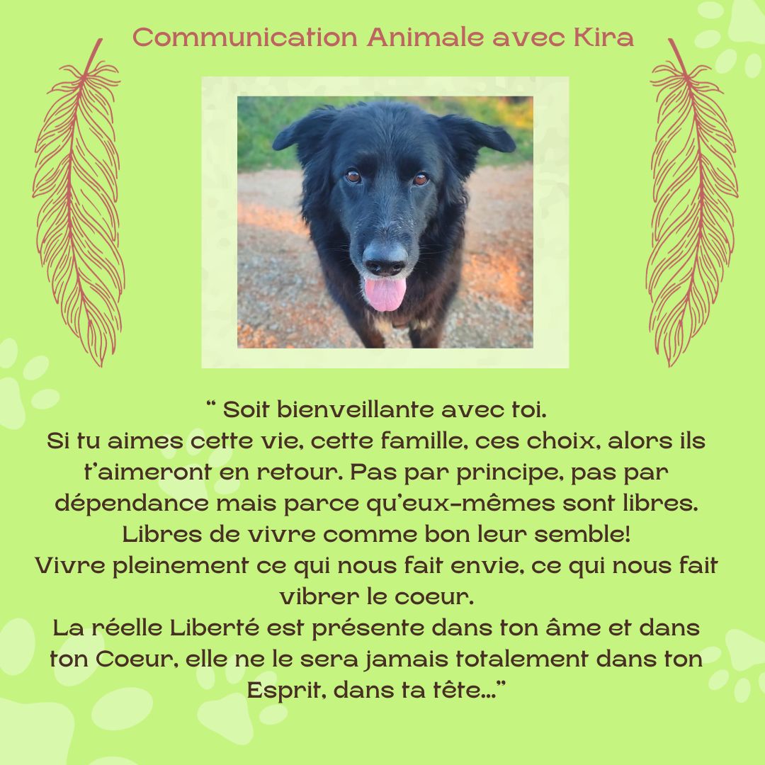 xr:d:DAFdmUyn6Mw:346,j:984441675965727308,t:23100613