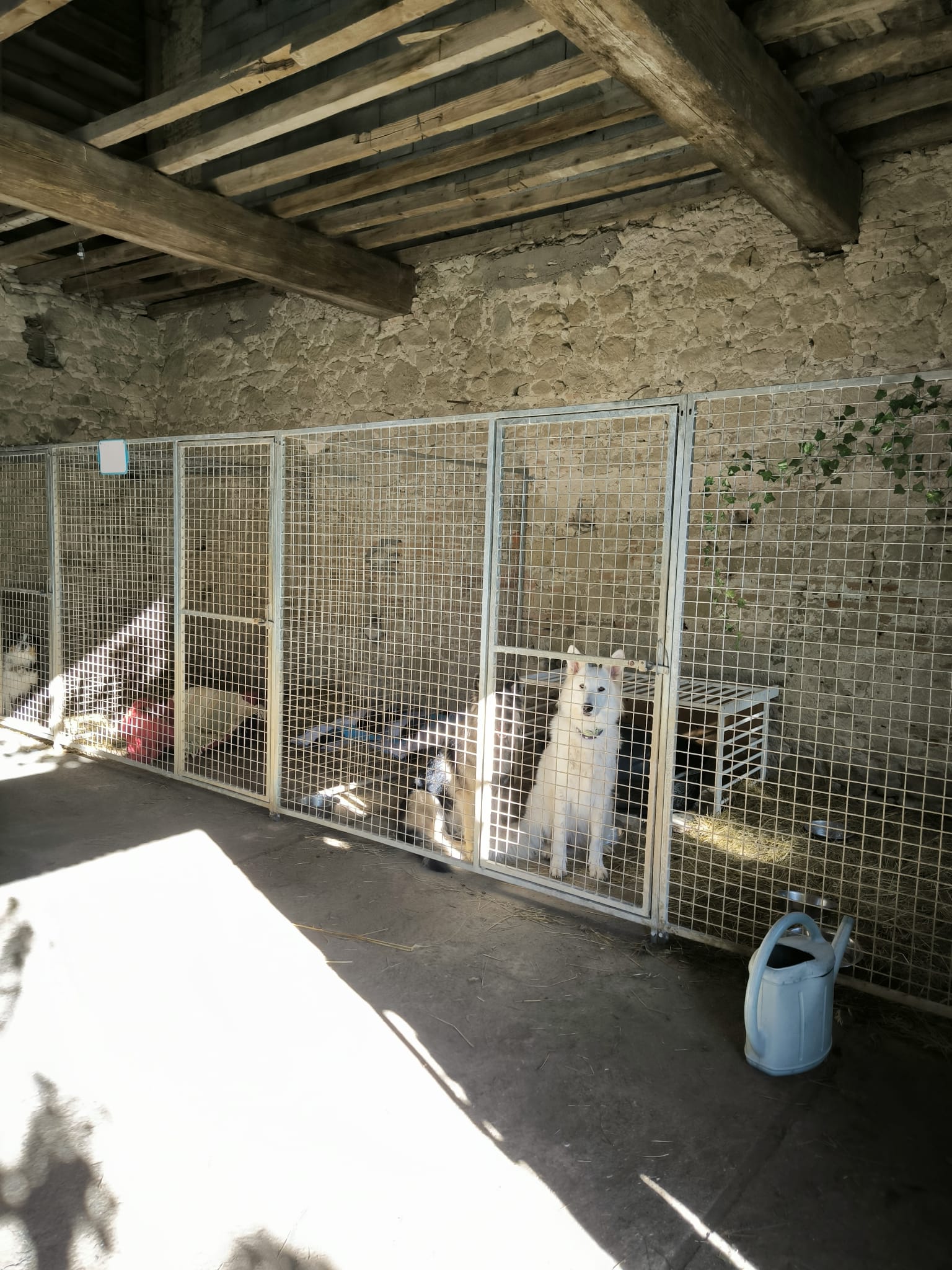 PHOTO PENSION 12 DORTOIR