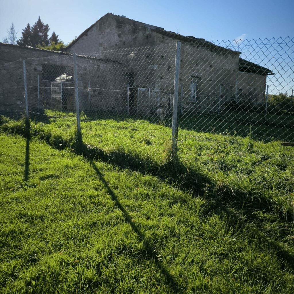 PHOTO PENSION 17 SOLEIL DERRIERE MAGNIFIQUE