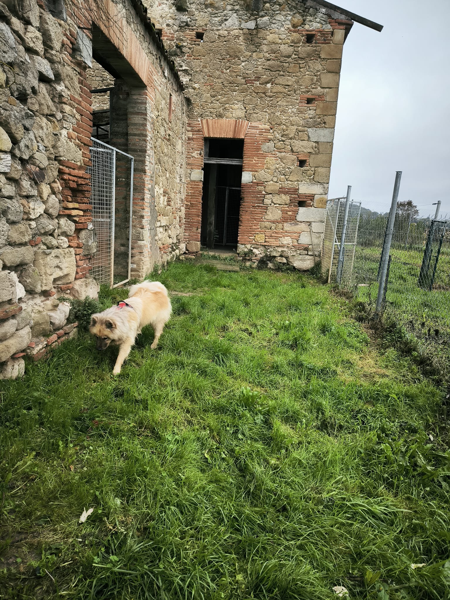 PHOTO PENSION 20 ACCES BERGERIE