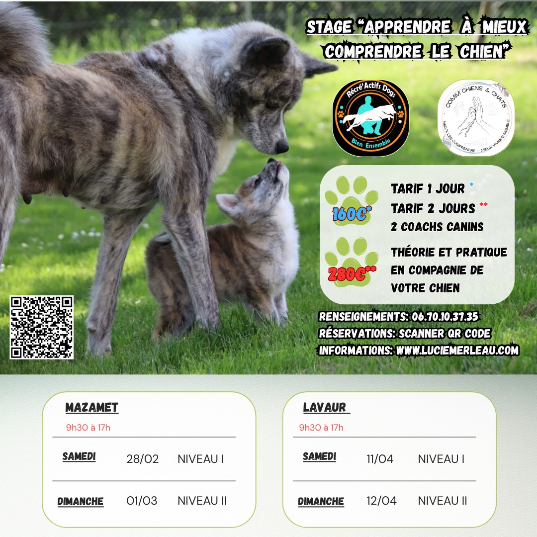 IMG-20260123-WA0002(1)