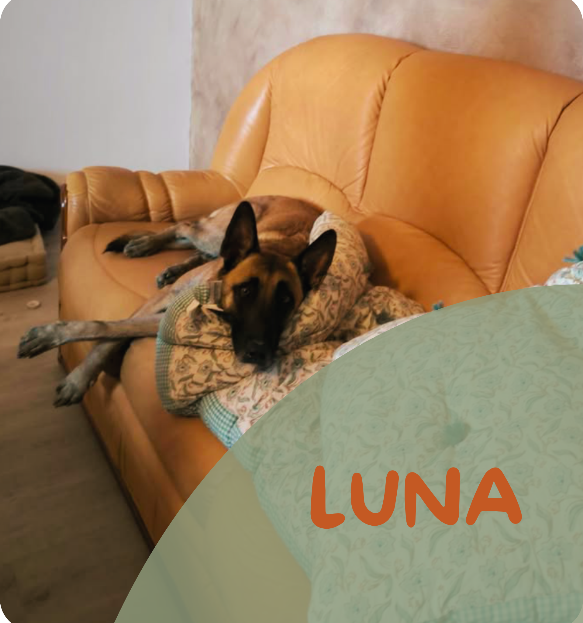 Luna